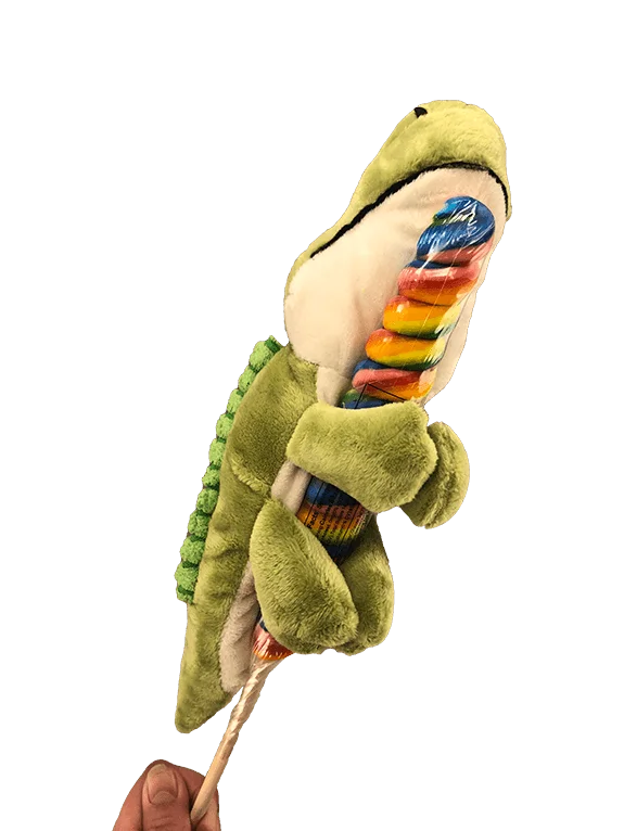 10" White, Green, or Rainbow Gator Plush on Deluxe Rainbow swirl Lollipop - Great gift for any kid!