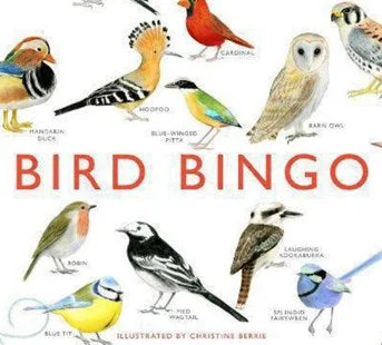 Bird bingo game