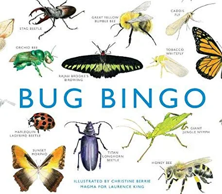 Bug bingo game