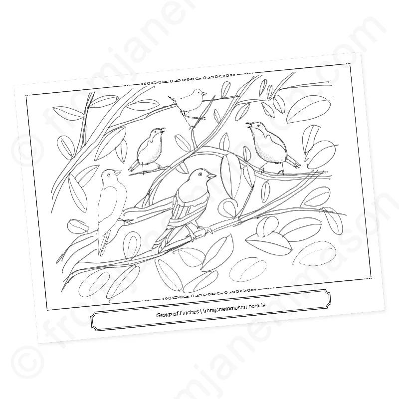 Group of Finches. a Bird Coloring Page