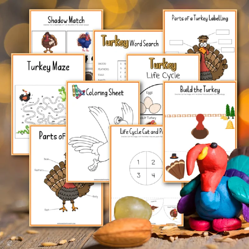 Turkey Facts For Kids Worksheets